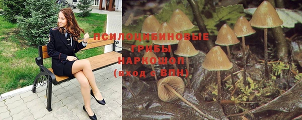 гидропоника Алексеевка