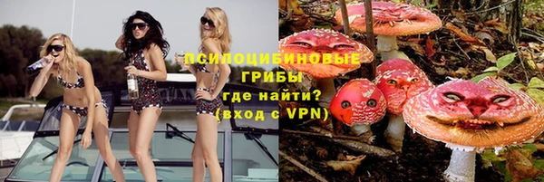 ALPHA PVP Семёнов