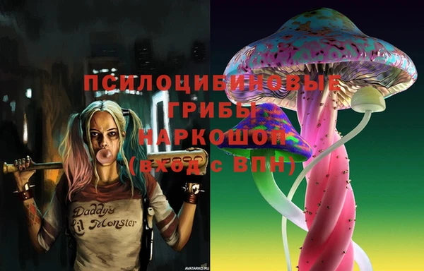 ECSTASY Семилуки