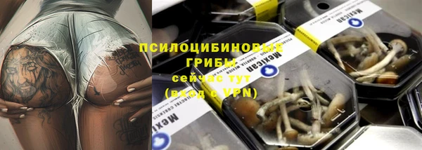 прущая мука Алексин