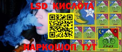 дмт Краснодар