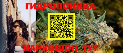 сатива Кунгур