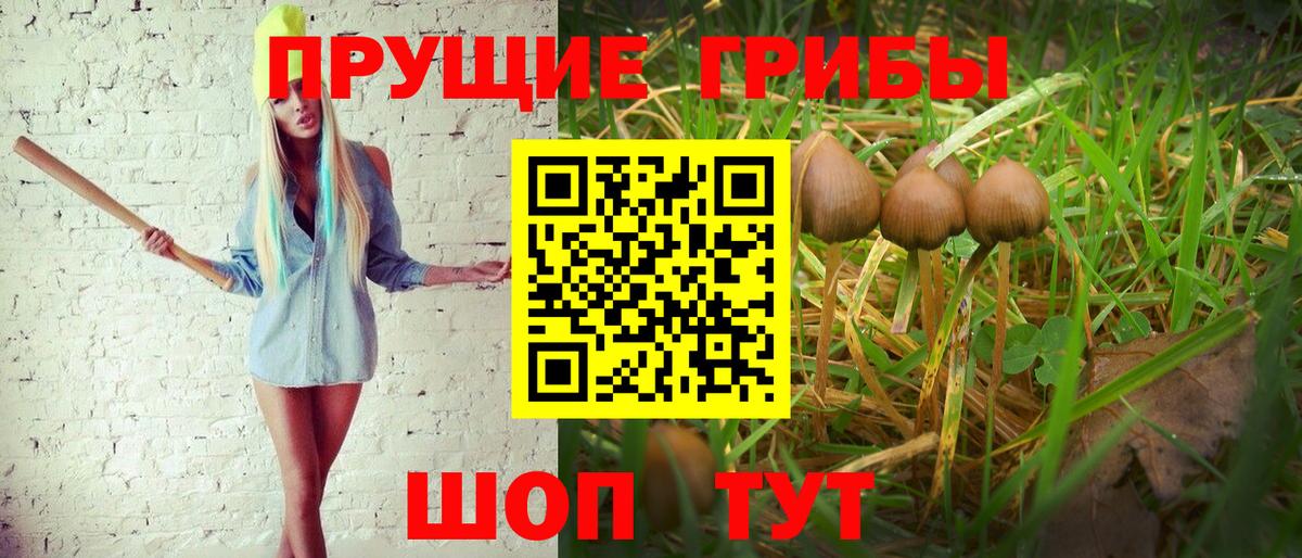 Псилоцибиновые грибы Magic Shrooms  Вход с VPN  Качканар  Псилоцибиновые грибы прущие грибы 